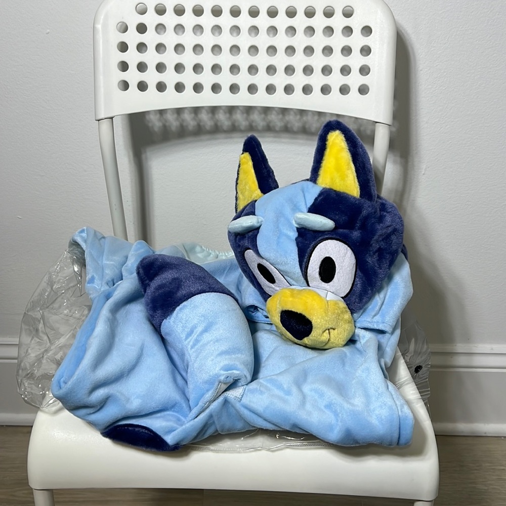 Bluey Costume